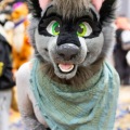 Biggest Little Fur Con 2025