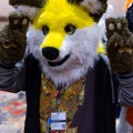 Biggest Little Fur Con 2025