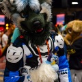 Biggest Little Fur Con 2025