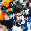 Biggest Little Fur Con 2025