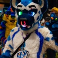 Biggest Little Fur Con 2025