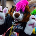Biggest Little Fur Con 2025