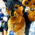 Biggest Little Fur Con 2025