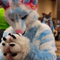 Biggest Little Fur Con 2025
