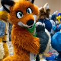 Biggest Little Fur Con 2025