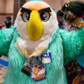 Biggest Little Fur Con 2025