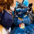 Biggest Little Fur Con 2025