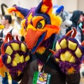 Biggest Little Fur Con 2025