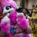 Biggest Little Fur Con 2025