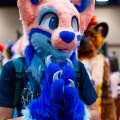 Biggest Little Fur Con 2025