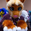 Biggest Little Fur Con 2025