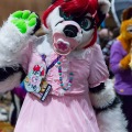 Biggest Little Fur Con 2025