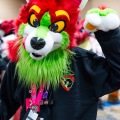 Biggest Little Fur Con 2025
