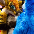 Biggest Little Fur Con 2025