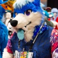 Biggest Little Fur Con 2025