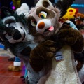 Biggest Little Fur Con 2025