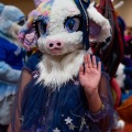 Biggest Little Fur Con 2025
