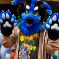 Biggest Little Fur Con 2025