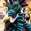Biggest Little Fur Con 2025