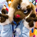 Biggest Little Fur Con 2025