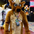 Biggest Little Fur Con 2025