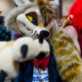 Biggest Little Fur Con 2025