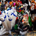 Biggest Little Fur Con 2025