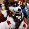 Biggest Little Fur Con 2025