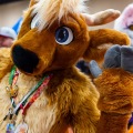 Biggest Little Fur Con 2025