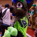 Biggest Little Fur Con 2025