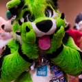 Biggest Little Fur Con 2025