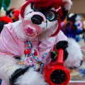 Biggest Little Fur Con 2025