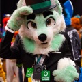 Biggest Little Fur Con 2025