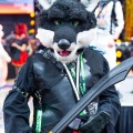 Biggest Little Fur Con 2025
