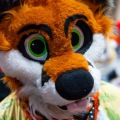 Biggest Little Fur Con 2025