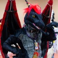 Biggest Little Fur Con 2025
