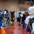 Biggest Little Fur Con 2025