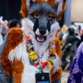Biggest Little Fur Con 2025