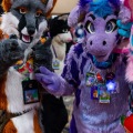 Biggest Little Fur Con 2025