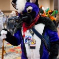 Biggest Little Fur Con 2025