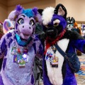 Biggest Little Fur Con 2025
