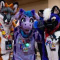 Biggest Little Fur Con 2025
