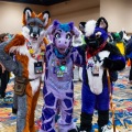 Biggest Little Fur Con 2025