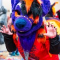 Biggest Little Fur Con 2025