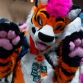 Biggest Little Fur Con 2025