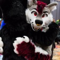 Biggest Little Fur Con 2025