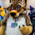 Biggest Little Fur Con 2025