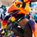 Biggest Little Fur Con 2025