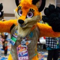 Biggest Little Fur Con 2025