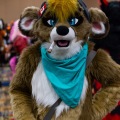 Biggest Little Fur Con 2025